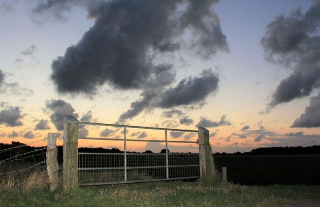 Westerheide Modern Retreat - Foto 21