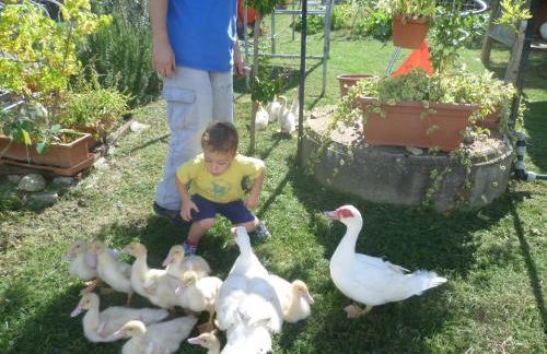 Il Granaio Grande - Foto 30