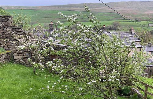 Coverdale cottage - Photo 51