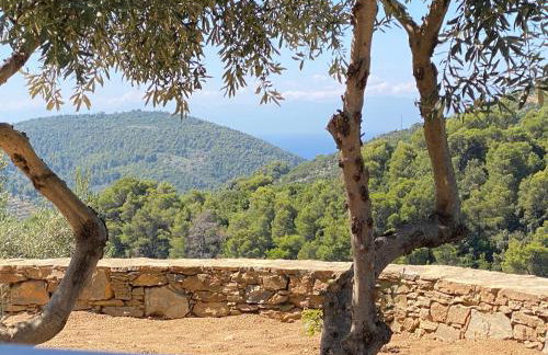 Laas Daskios, Stone Country House, Skopelos Anania - Foto 10