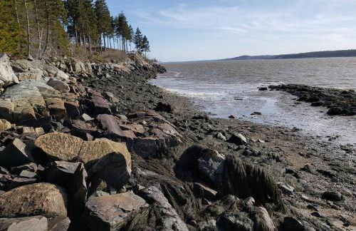 Sunset Cabin by the Sea, Log cabin stunning views - Photo 20