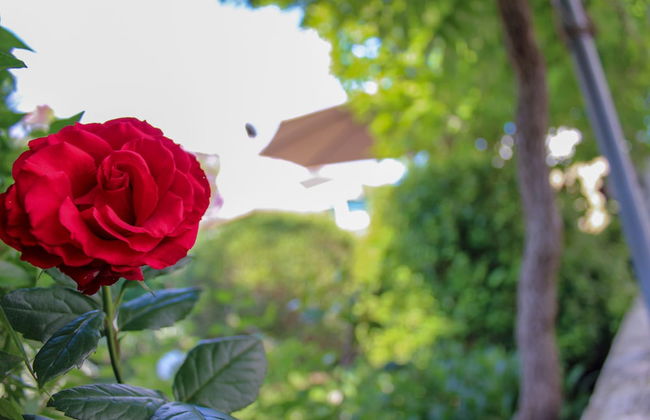 Apartments Hrabar - Photo 54