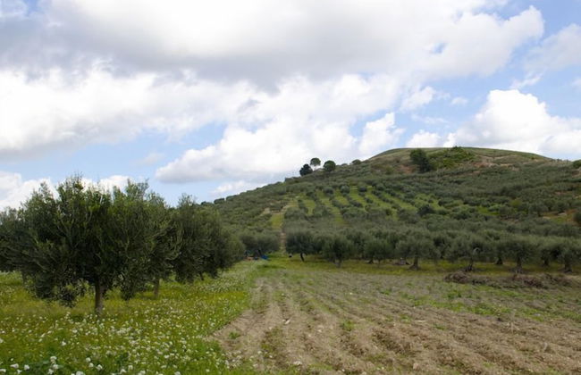 Agriturismo Don Carlo - Foto 37