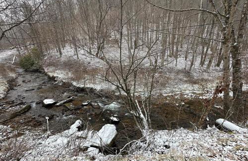 Appalachian Hideaway - Foto 7