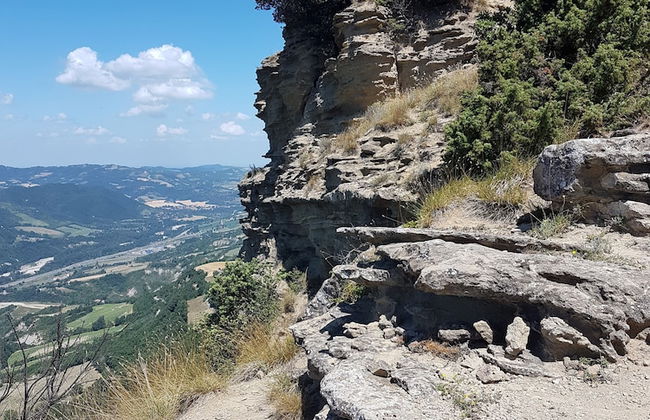 Agriturismo Piccola Raieda - Photo 33