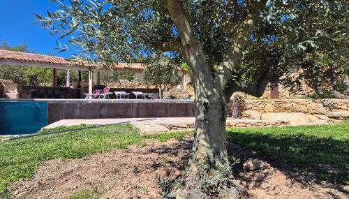 Lou damisello - Villa moderne - Foto 4