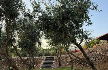 STARA KUĆA - old stone house - Foto 64