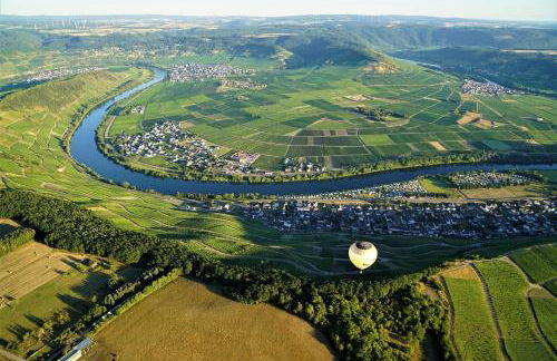 Garden Eden - Foto 41