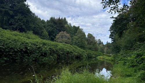 Enchanted Hollow- Cozy, Romantic Woodland Getaway - Foto 5