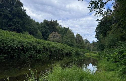 Enchanted Hollow- Cozy, Romantic Woodland Getaway - Photo 5