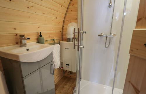 Dysynni Pod - Foto 11