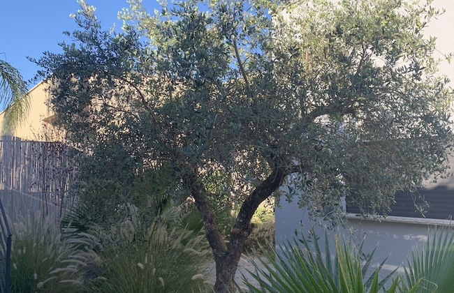 Habait be Shomera - Foto 43