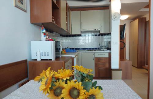 Sanpier Apartments - Foto 22