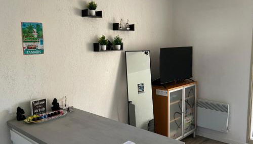 Charmant studio calme bord de mer Wifi-NESPRESSO-DRAPS-LINGE DE BAIN - Foto 5