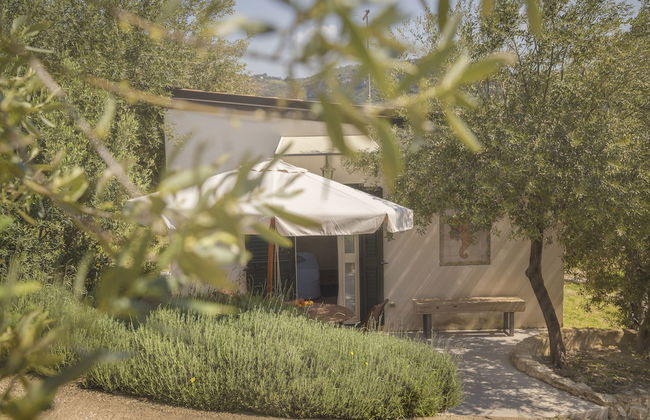 Tenuta Olive Alive - Foto 27