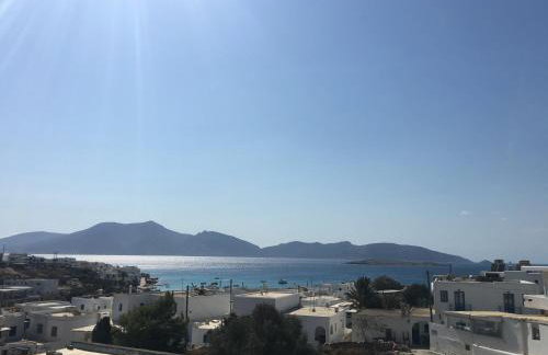 Selini Studios - Foto 3