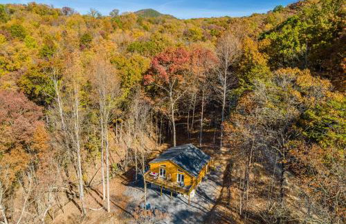 The Wilderness Cabin - Shenandoah Getaway - HotTub, Arcade, RiverAccess - Foto 1