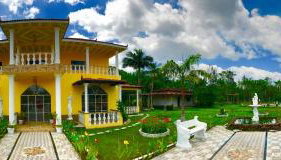 Artes e Café - Photo 2