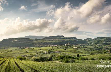 Le Bignele - Alloggio Agrituristico - Photo 1