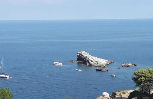 Cocciu d’amuri - Foto 49