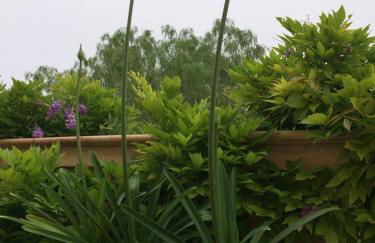 Casa de las Vistas - Photo 43