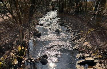 Kinderparadies Alt Lüxem - Foto 28