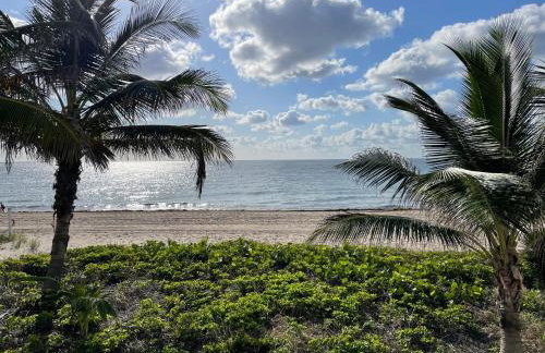 StudioBTS - Lauderdale-By-The-Sea - Photo 24