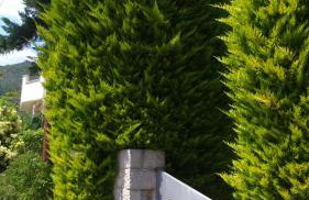 Vagionia Apartments - Foto 46