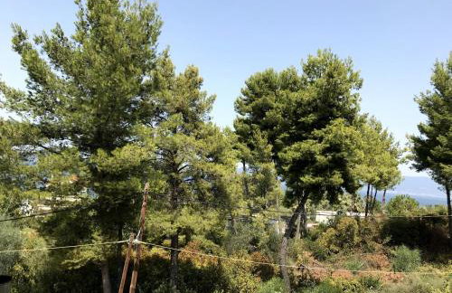 Studio Kalypso - Foto 17