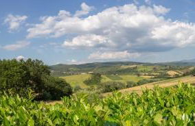 Agriturismo Dei Casali - Foto 6