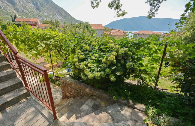 Apartments Risan Center - Foto 59