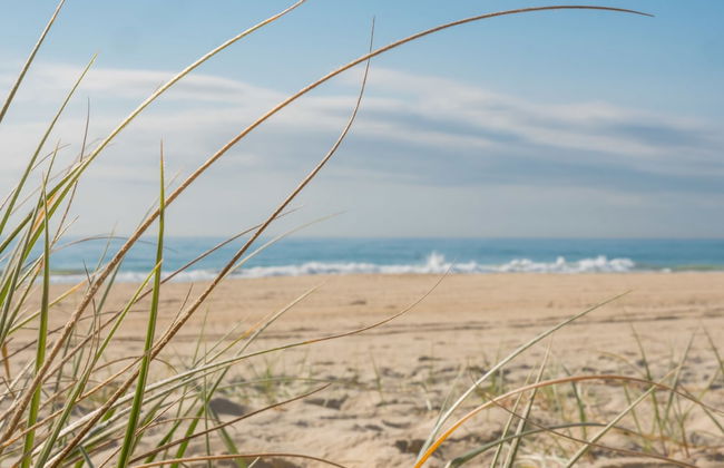 Burleigh Surf Apartments - Foto 76