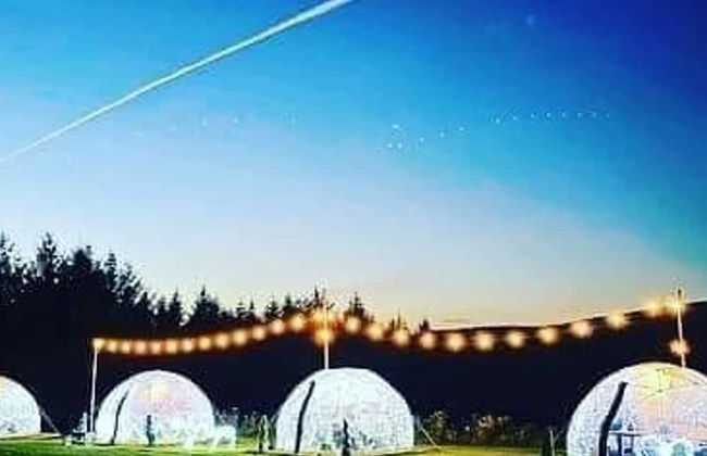 Happy Days Afan Forest - Foto 28