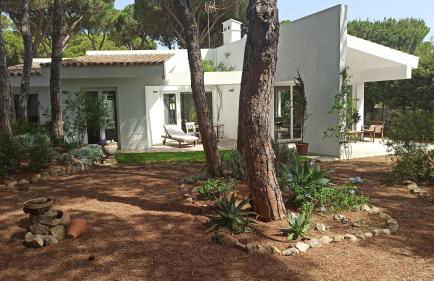 Diseño y luz entre los pinos - Foto 53