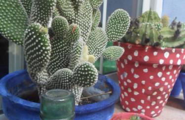 El patio azul Bohemio Mágico - Foto 61