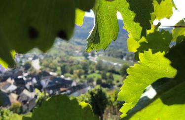 Altes Spitzhaus an der Goldroul - Foto 36