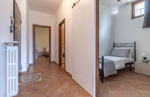 Zardo Winery 2 - Foto 19