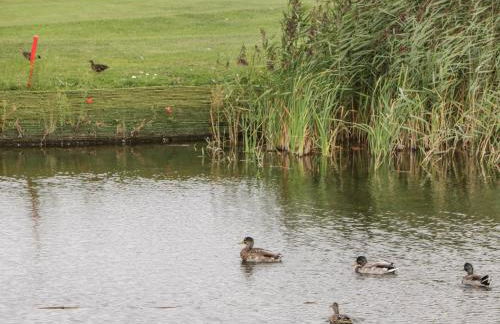 14 Fairways - Foto 30