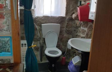 Loja Casa dos Cisnes - Serra da Estrela - Foto 14