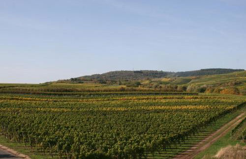 Ferienwohnung Weinbergblick - Foto 24