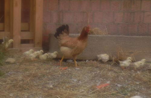 Agriturismo La Dimora Del Contadino - Photo 80