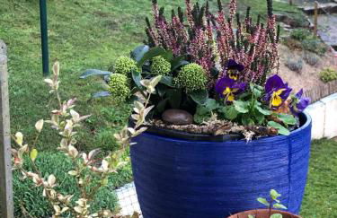 Le Kesbel entre Strasbourg et Colmar en centre Alsace - Foto 21