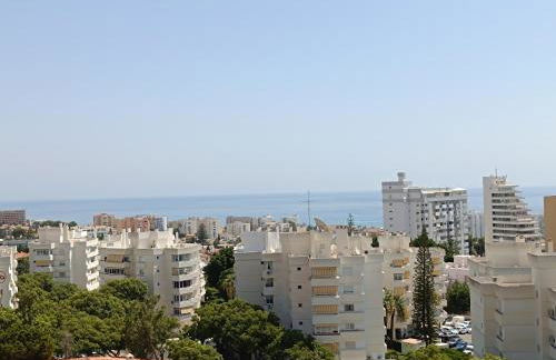 Acuario Benalmádena - Foto 12