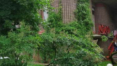 Open Space nel Parco con parcheggio gratuito - Foto 2, Garden