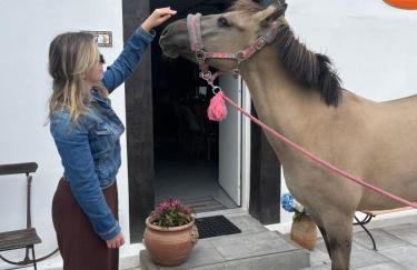 Winnica Bursztynowa - Foto 24