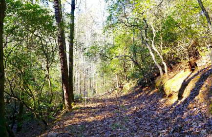 Ridge Retreat at Hearthstone Cabins and Camping - Pet Friendly - Foto 28