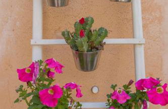 Casa Font-Fullana - Foto 23