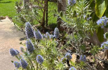 Villa Clara, 8 pers, JAVEA, Costa Blanca, closes to beaches - Foto 2