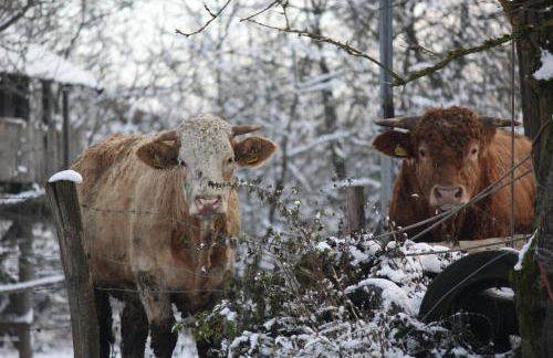 Biohof Liebhart - Photo 12