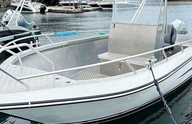 4 Person Holiday Home in Oksvoll - Foto 7